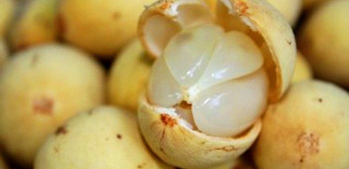Hijabers Kulit Kamu Kusam Coba Konsumsi Buah Duku Membuat Kulit Kamu Kenyal dan Elastis